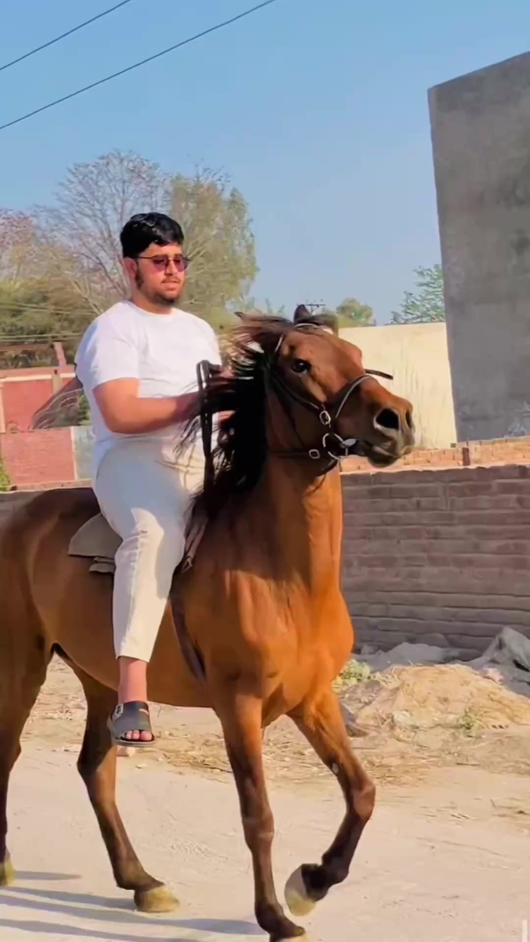 @صُومان کیانی