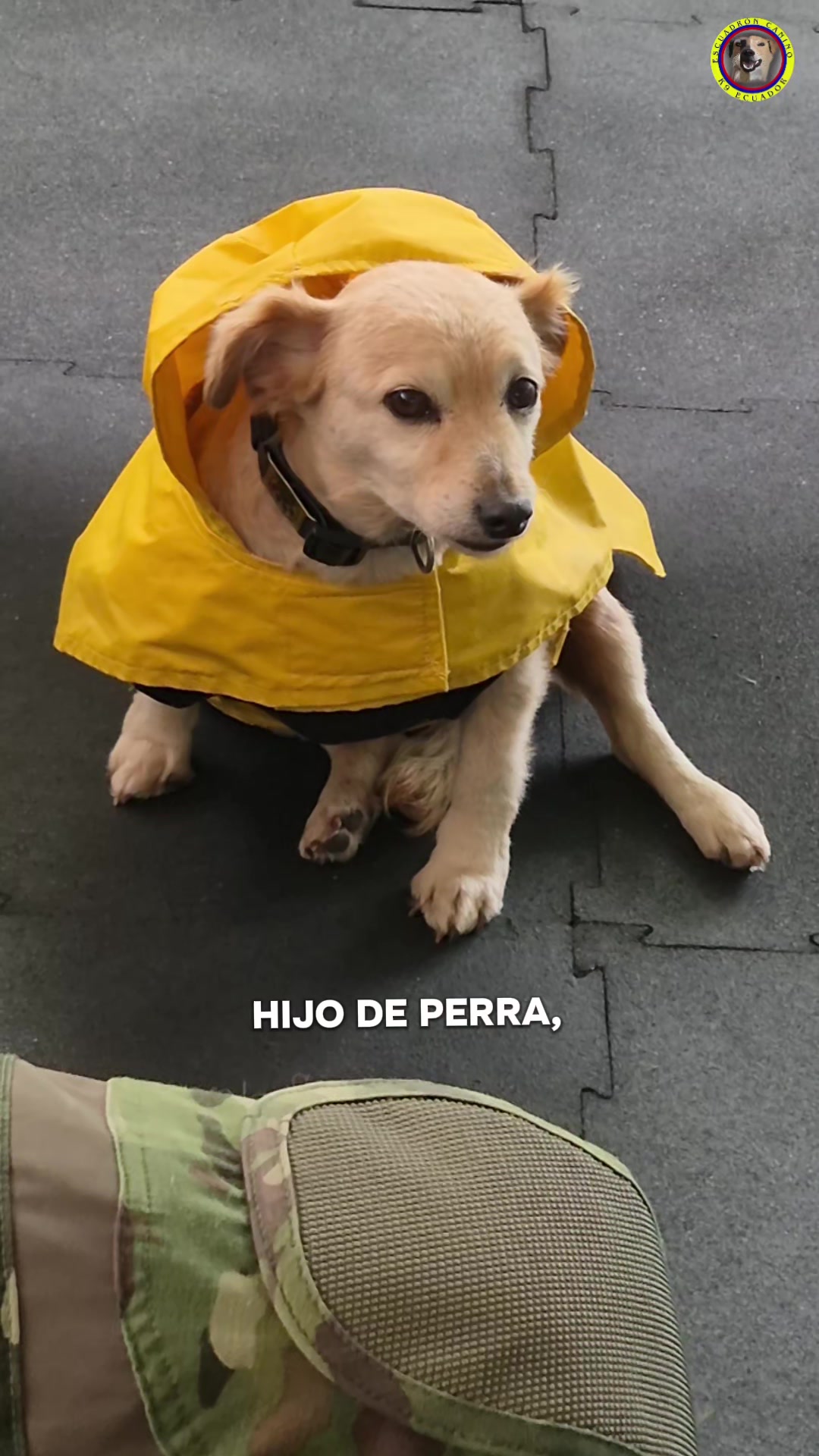 @𝕀ℕ𝕊𝕋ℝ𝕌ℂ𝕋𝕆ℝ 𝕂𝟡 𝔼.ℂ