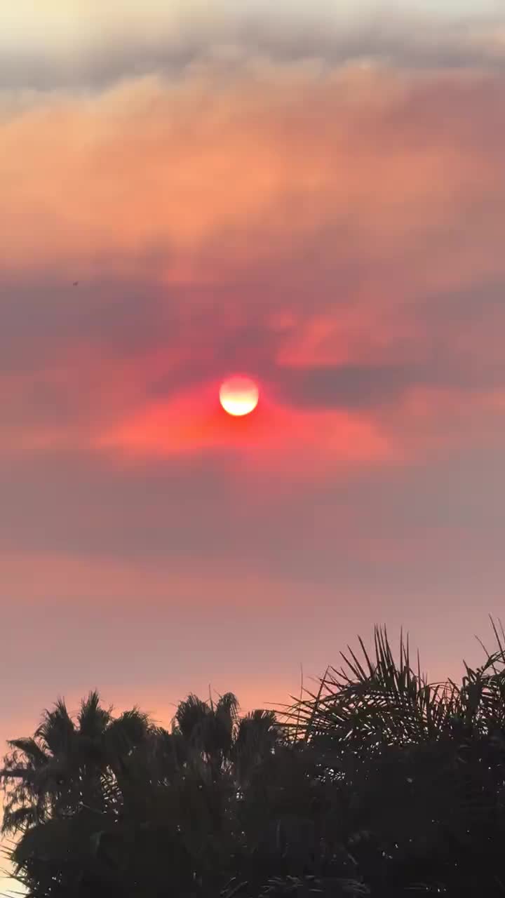 @FireladyP🥰😘🐦🔥77❌