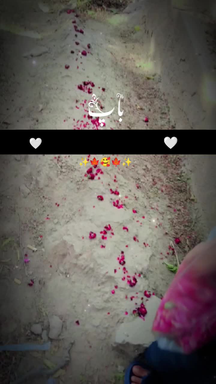 @Ali.ki.wife.🥰😘