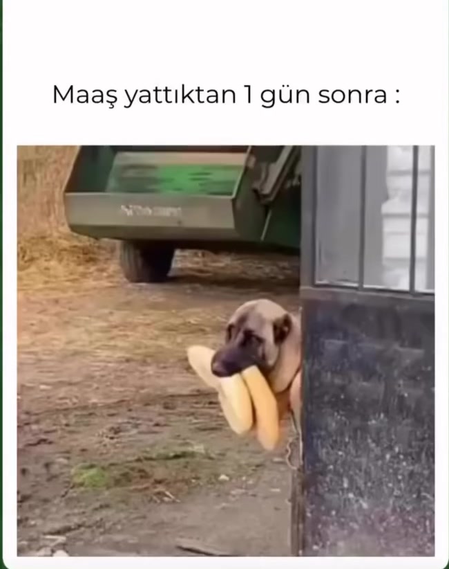 @Mustafasen