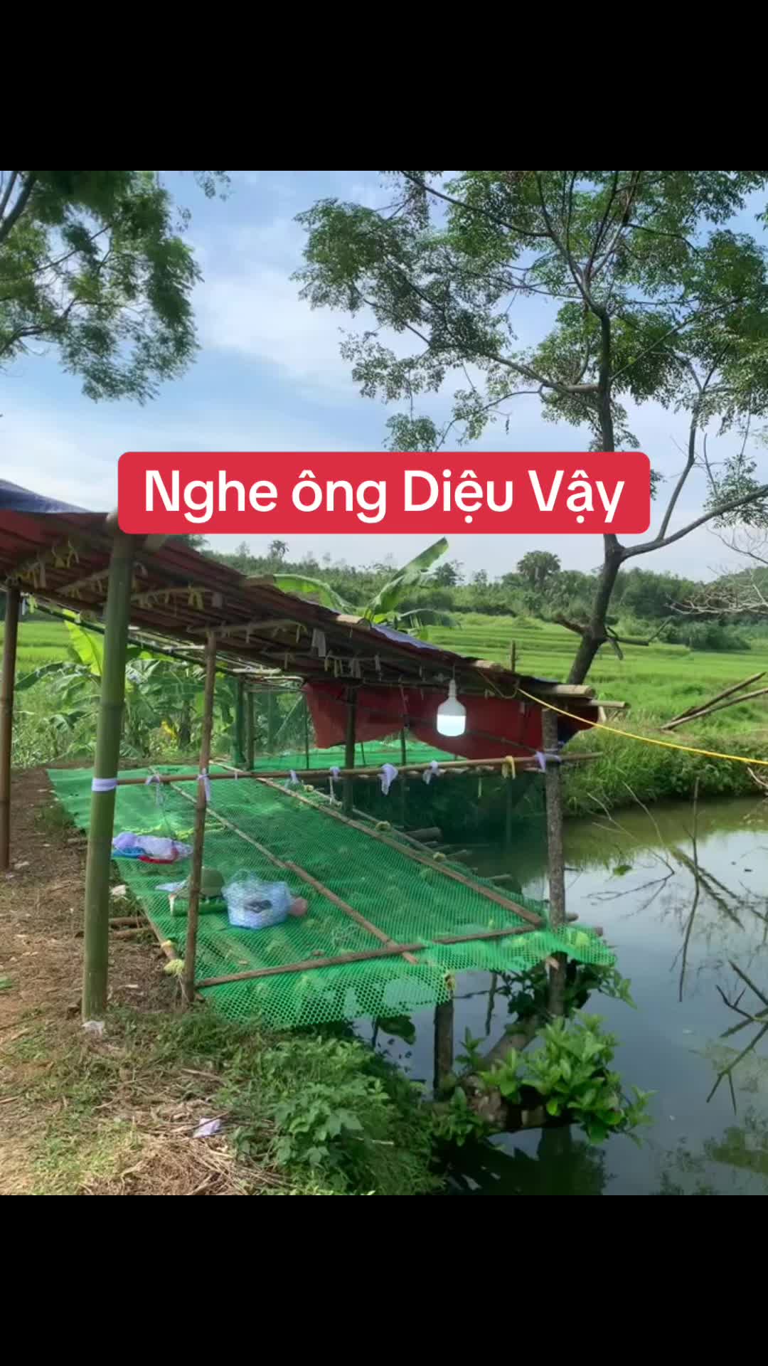 @Hà Thanh Tuấn