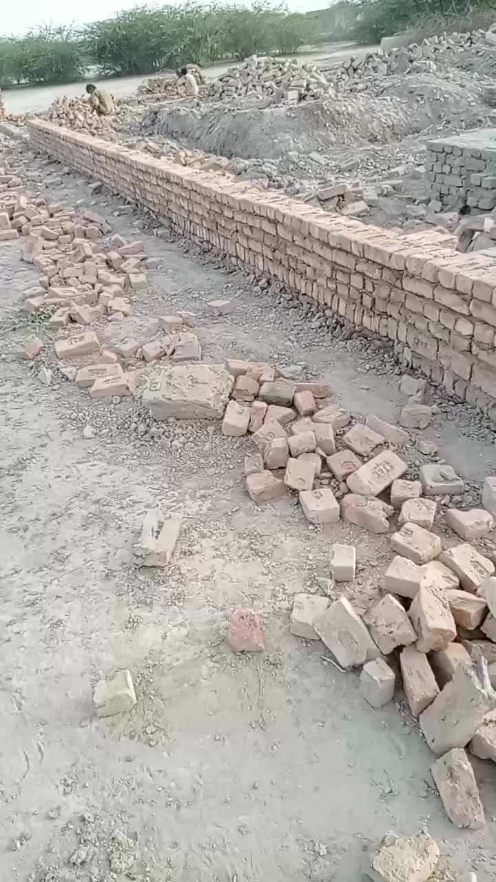 @liyaqattbaloch