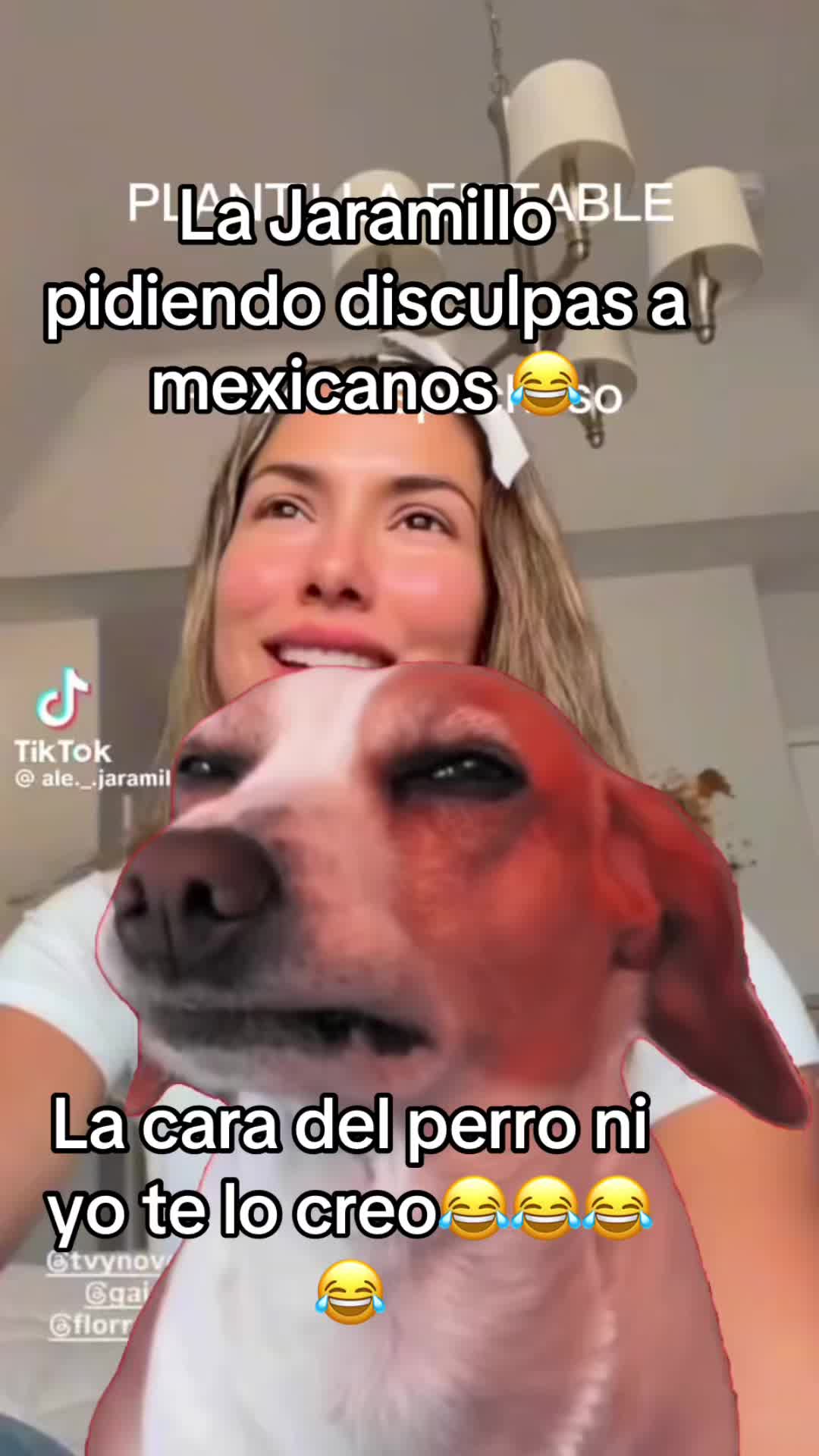 @luzmedina
