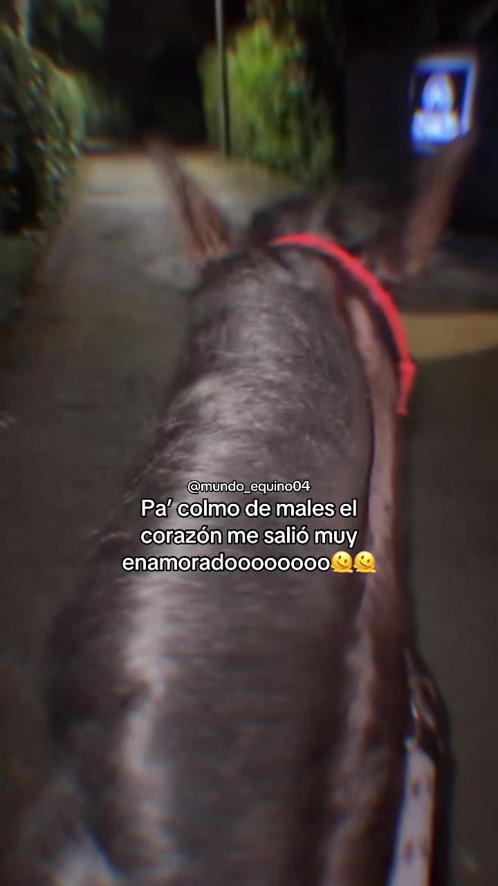 @mundo_equino04