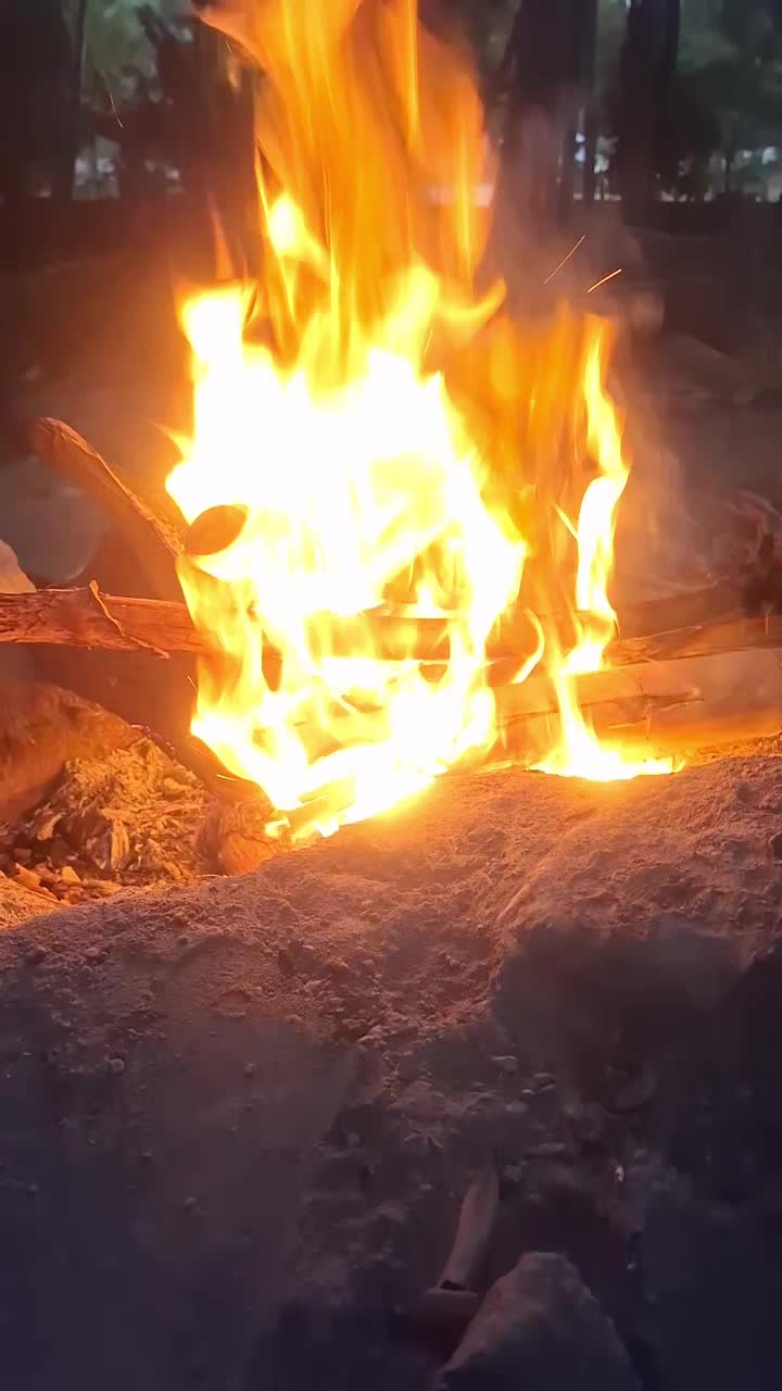 @𝓣𝓪𝓾𝓻𝓾𝓼