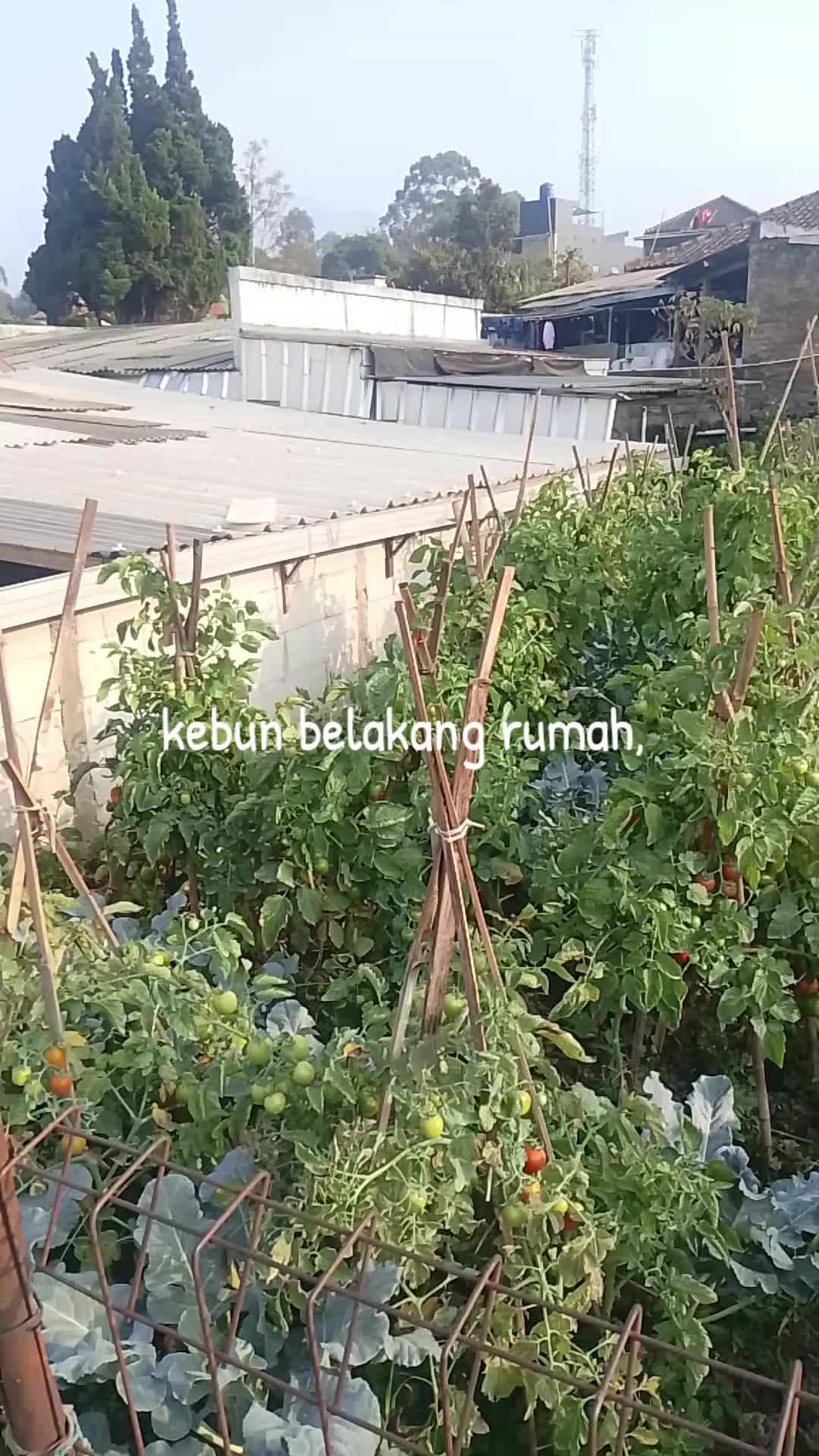 @jajang dega