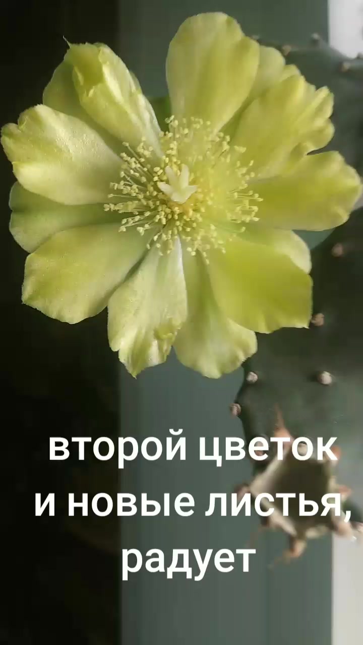 @Юрик
