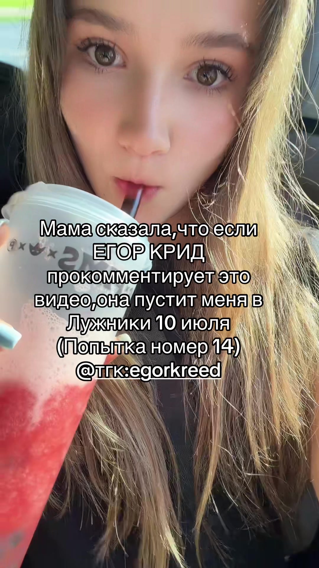 @lizaseagull🩵🩵