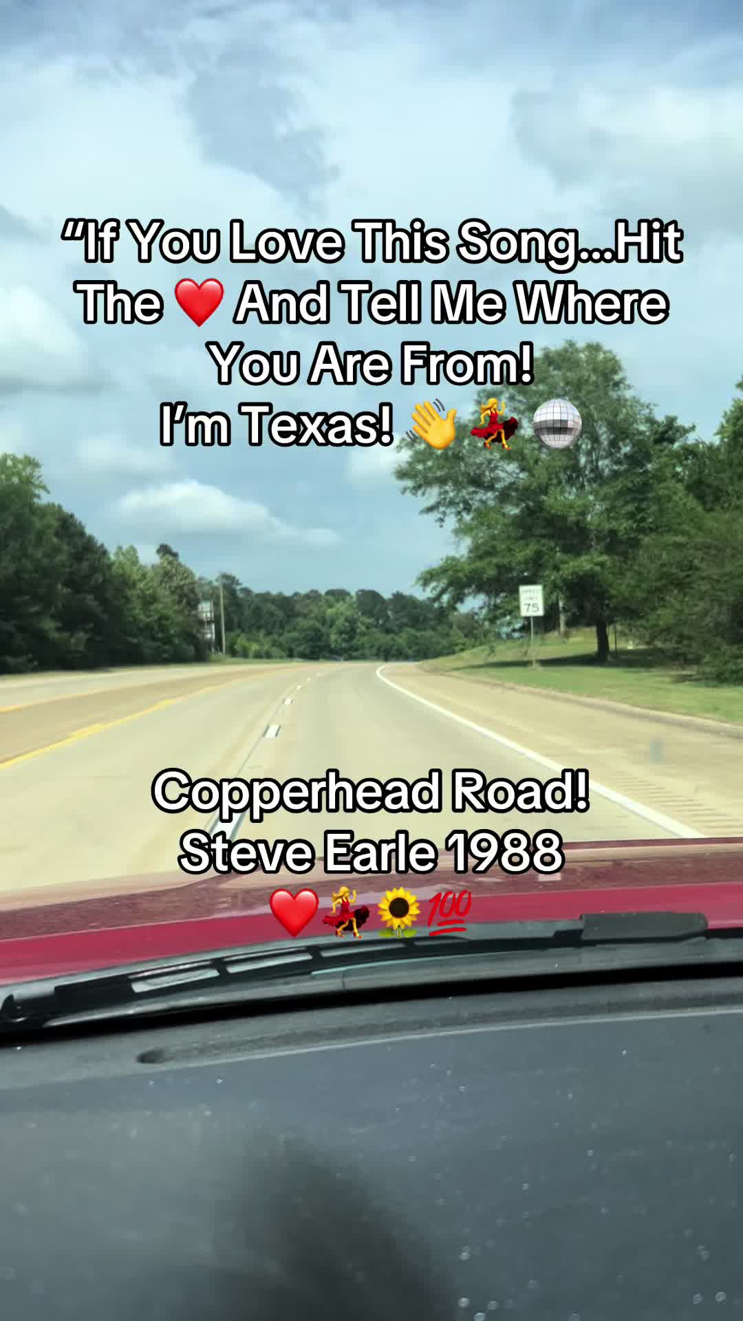 @RockinCowgirl