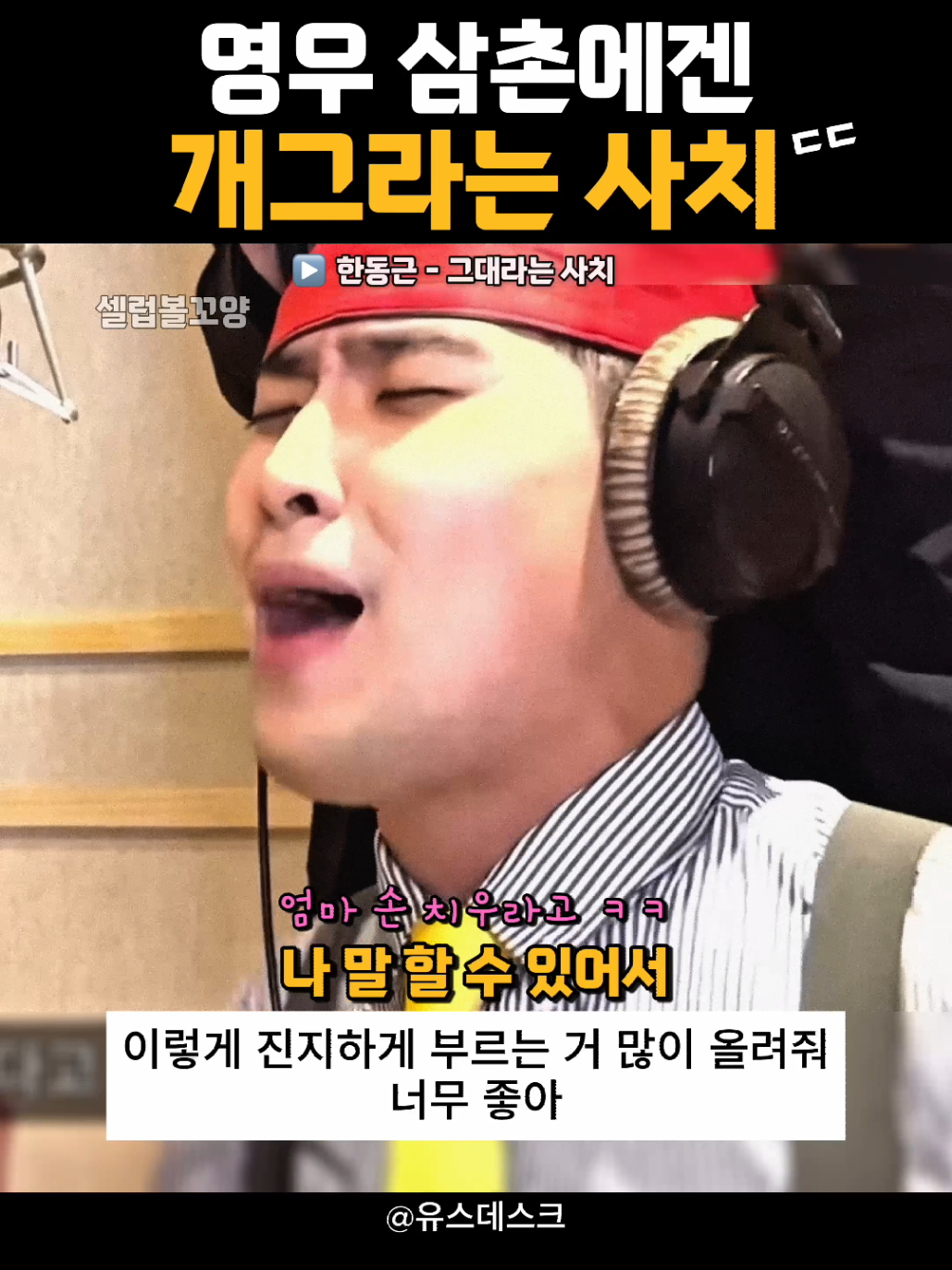 @셀럽볼꼬양