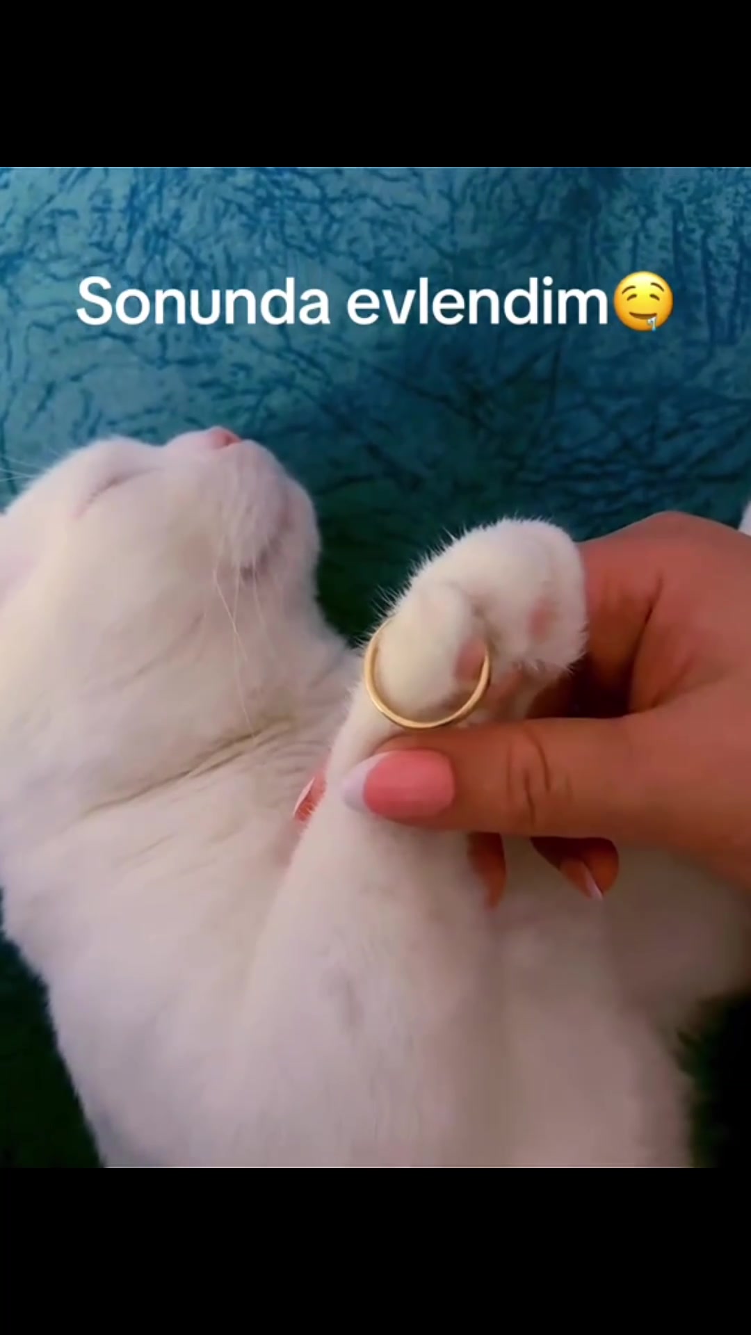 @Bacınız Geldi