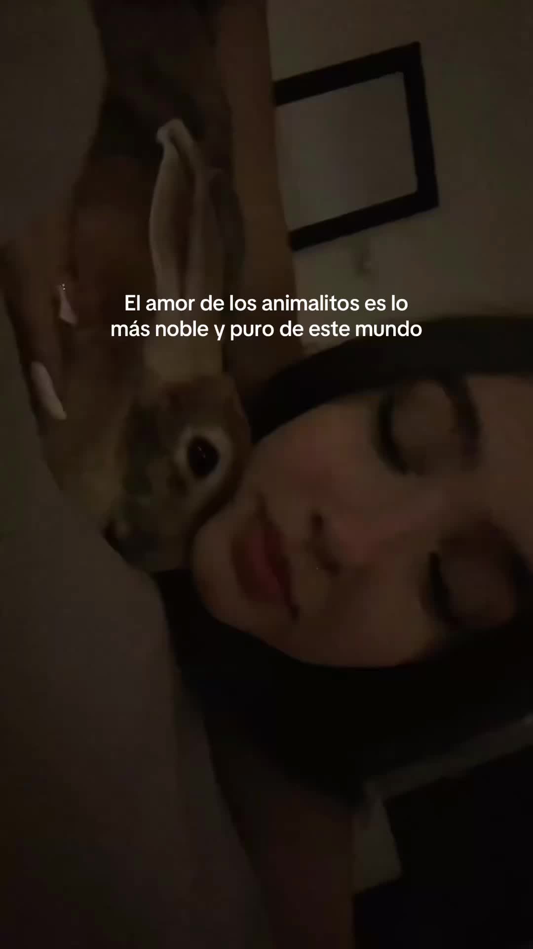 @🌙