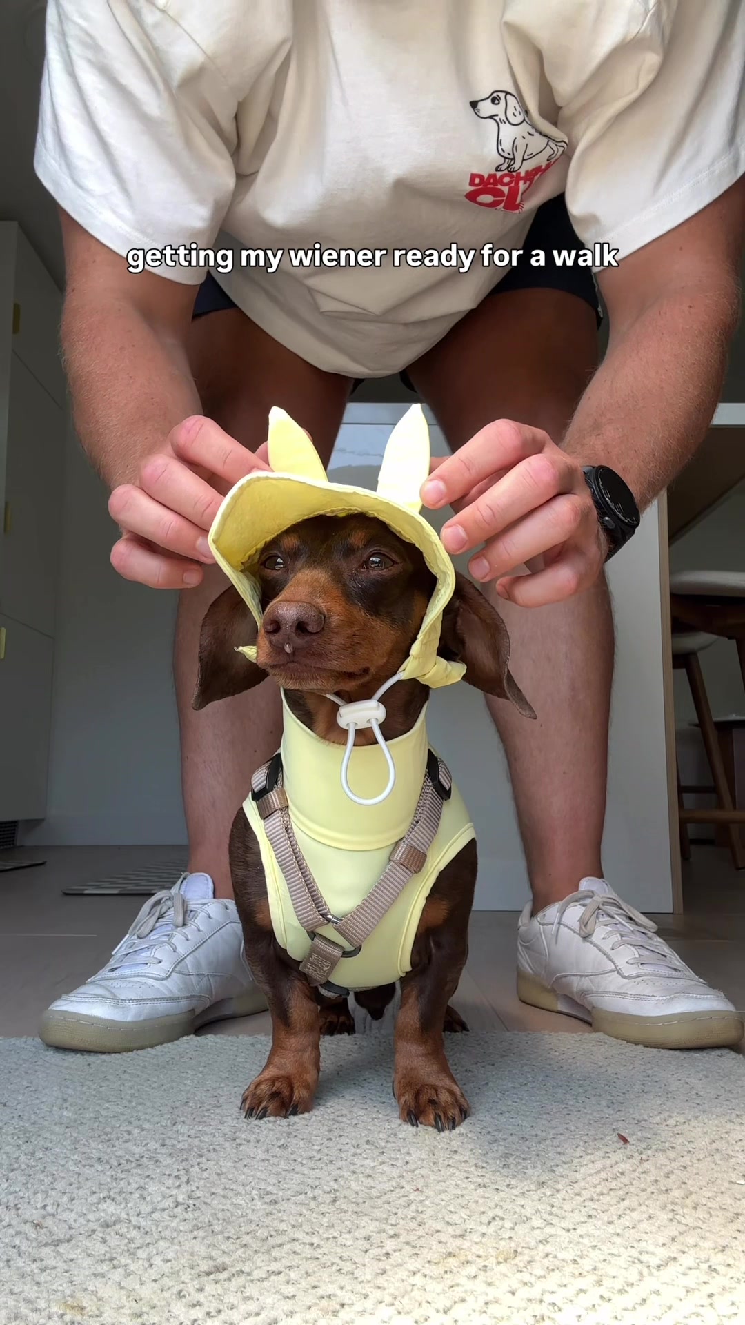 @sebbythesausage