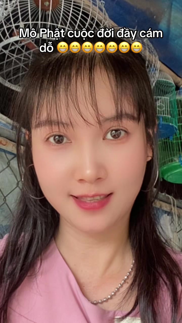 @HOA HỒNG C&Oacute; GAI 🌹🌹🌺🌺🌻🌻