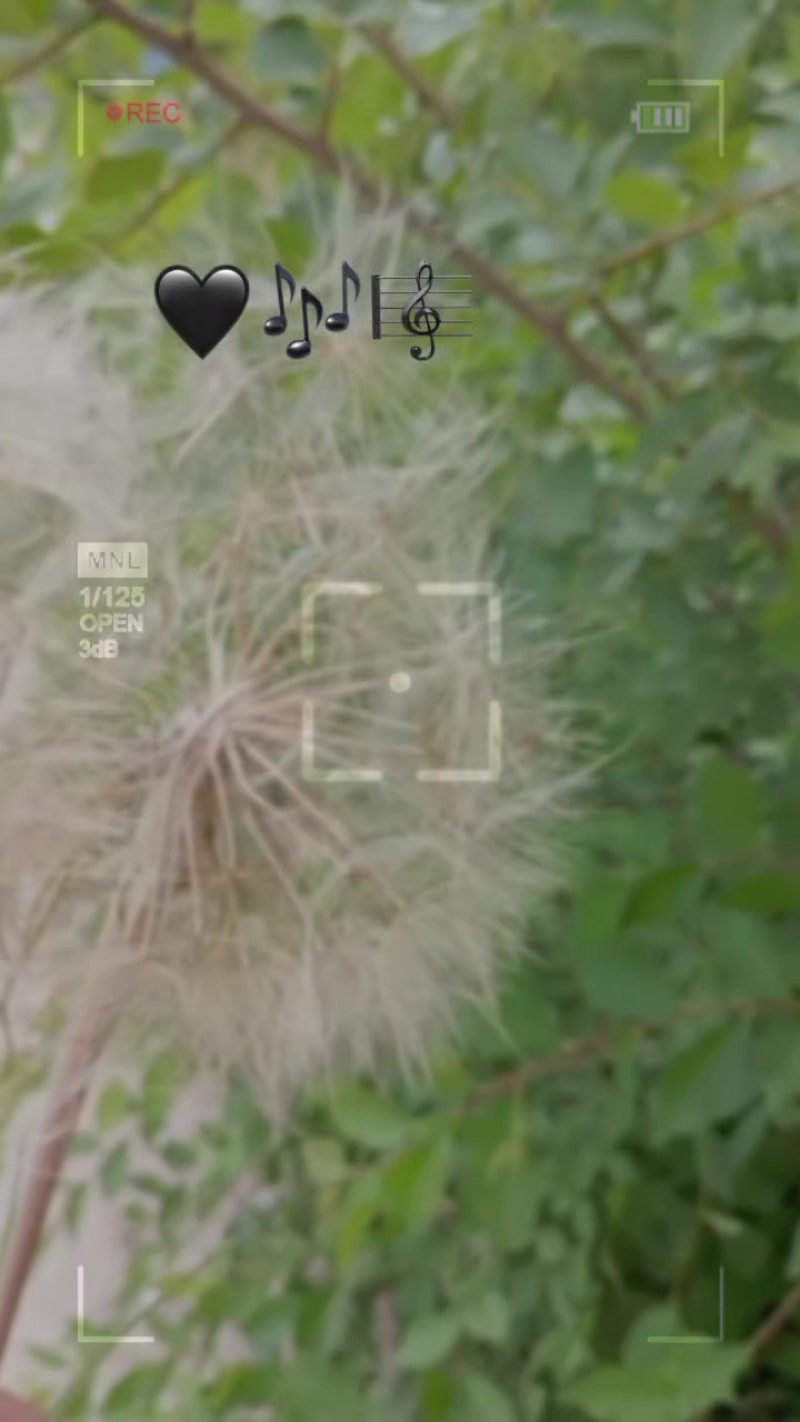 @♡𝙈𝙞𝙣𝙣𝙤𝙨̧➷♡🌸