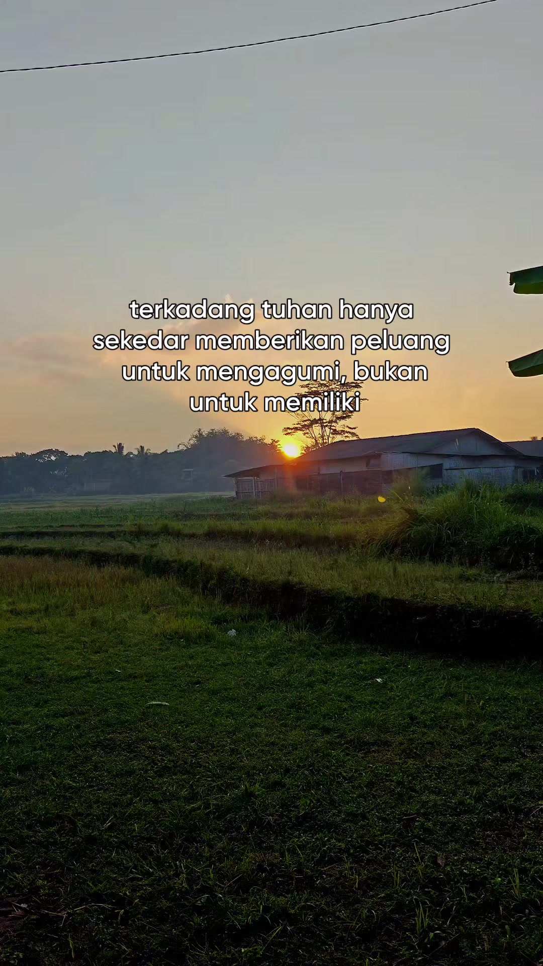 @aagscobra