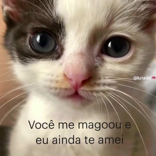 @lunarbi 🫦