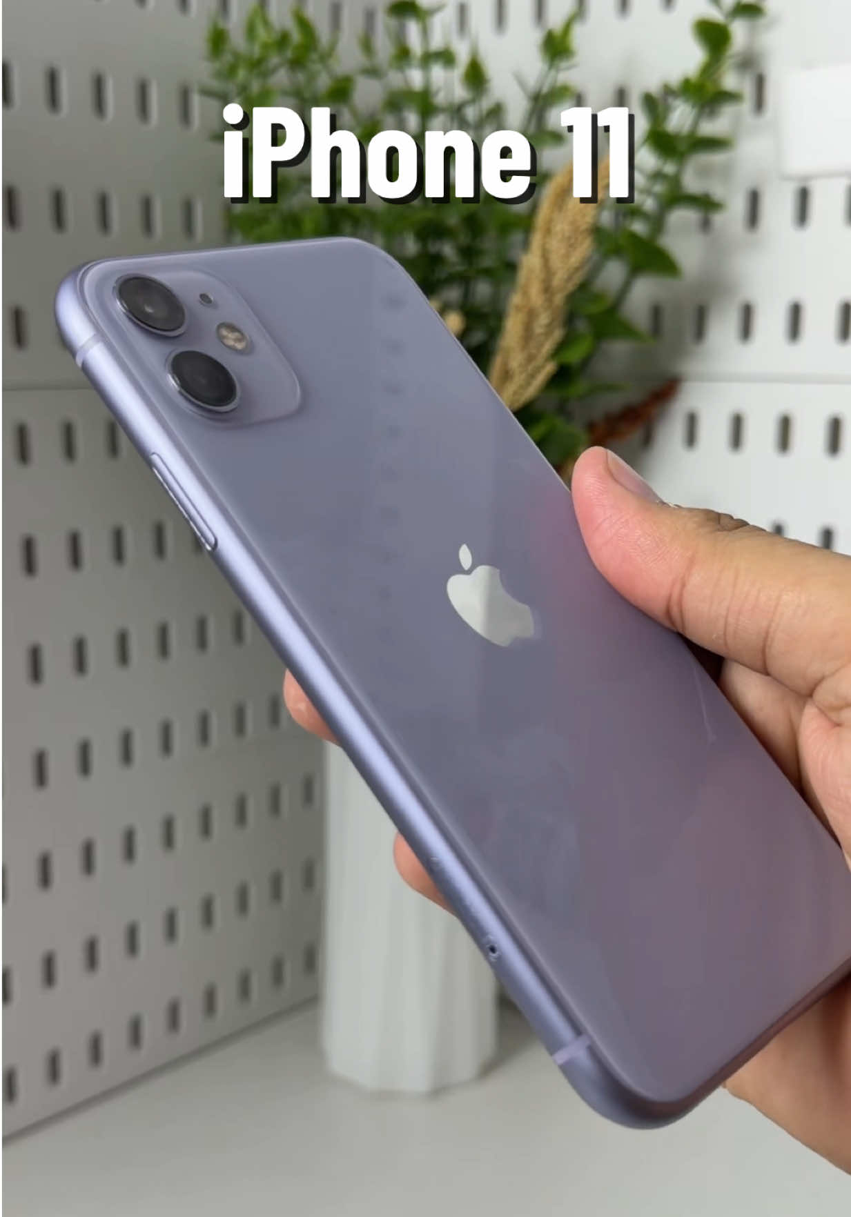 @iPhonary 🩷