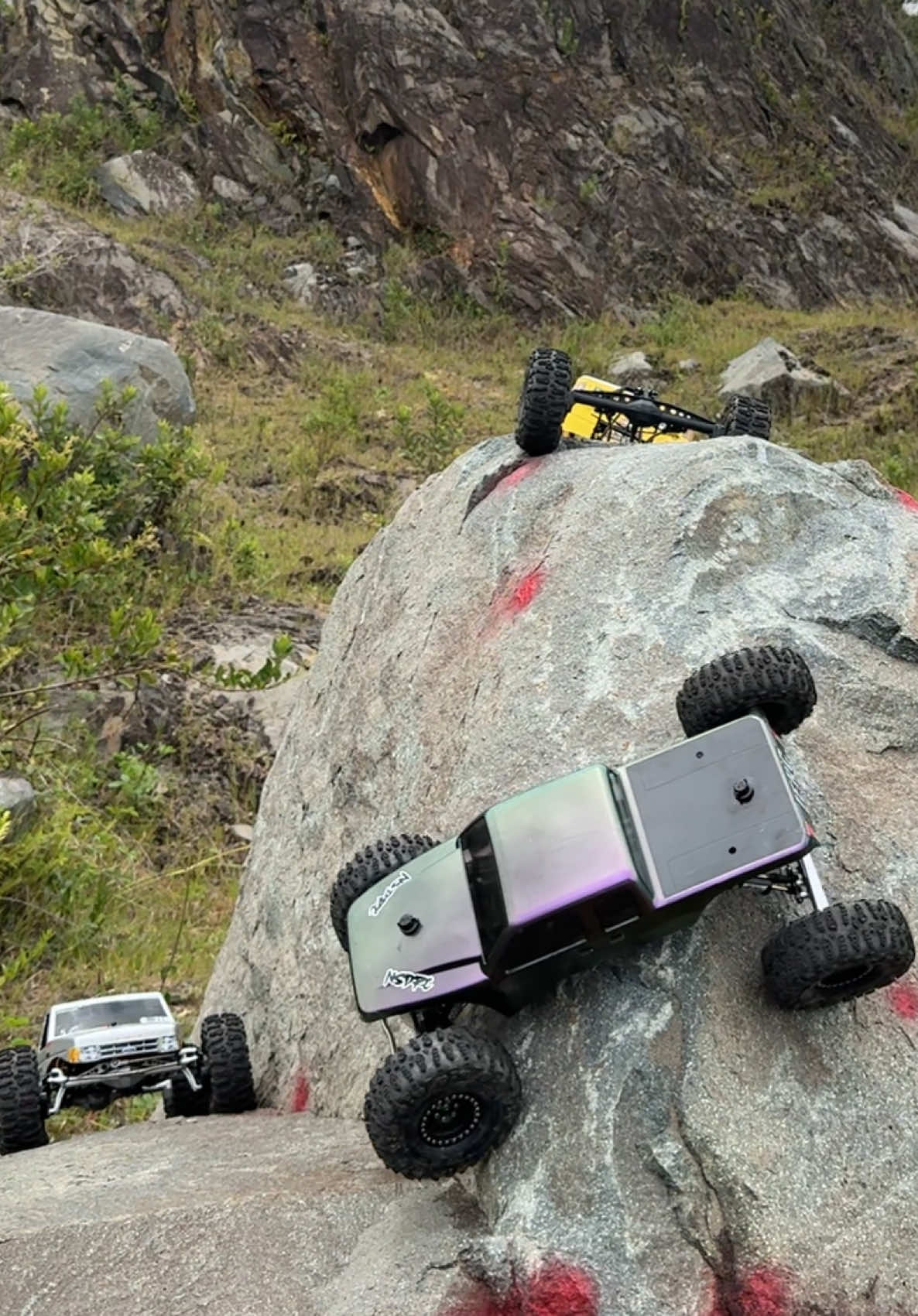 @Crawler RC Medellin