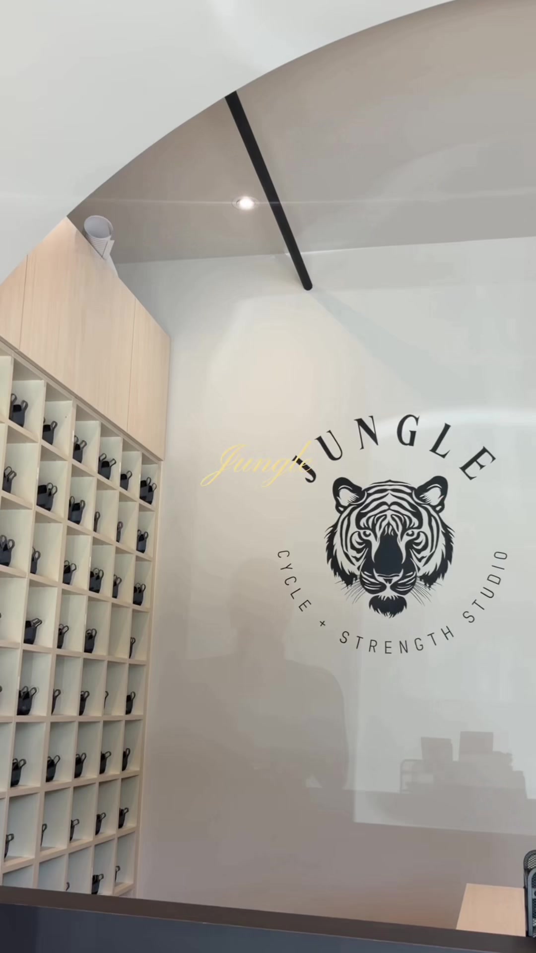 @JUNGLE