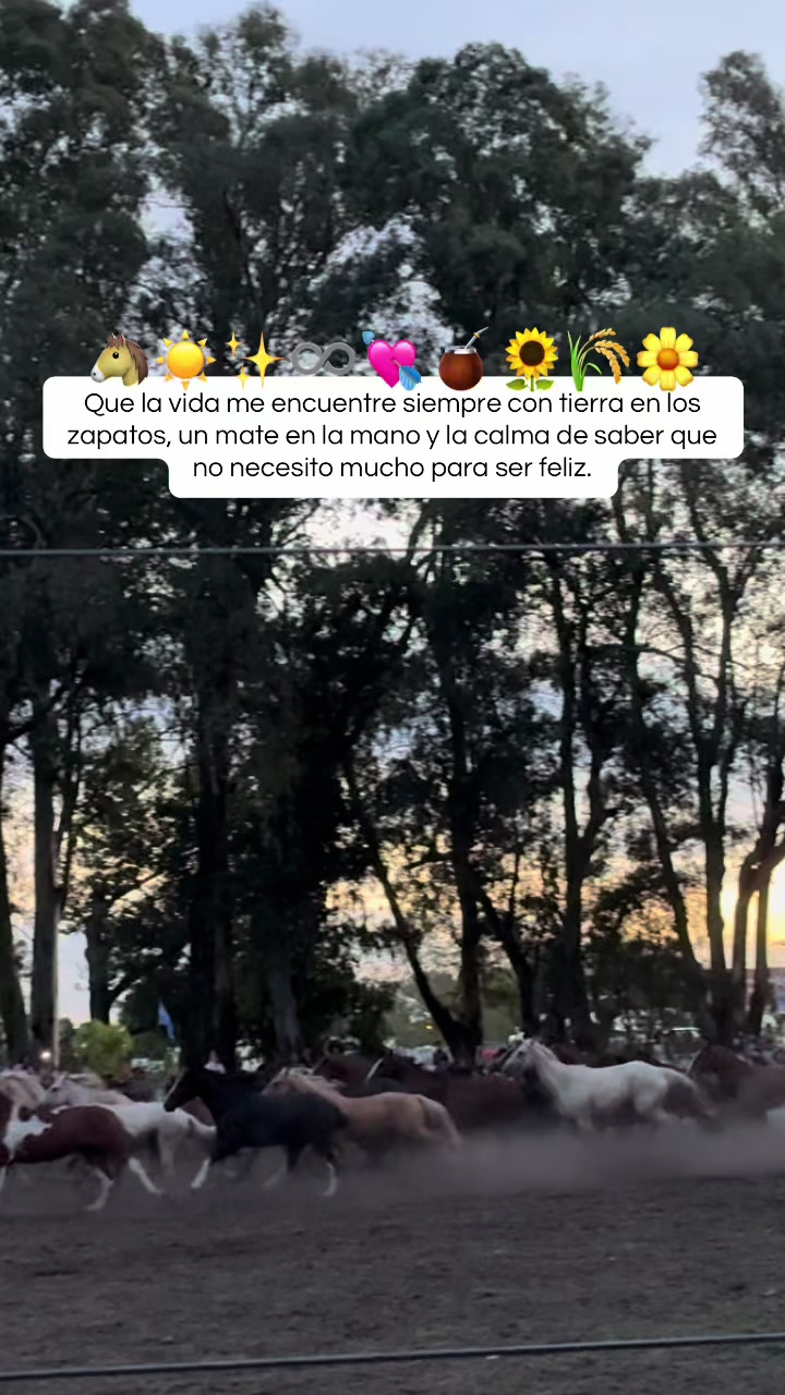 @Martii Brun