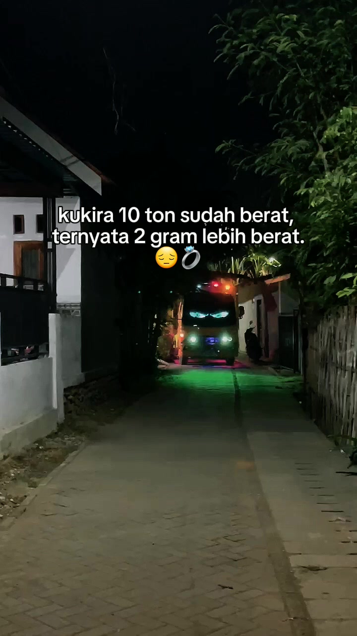 @Ardi owner elf  (&bull;_&bull;)