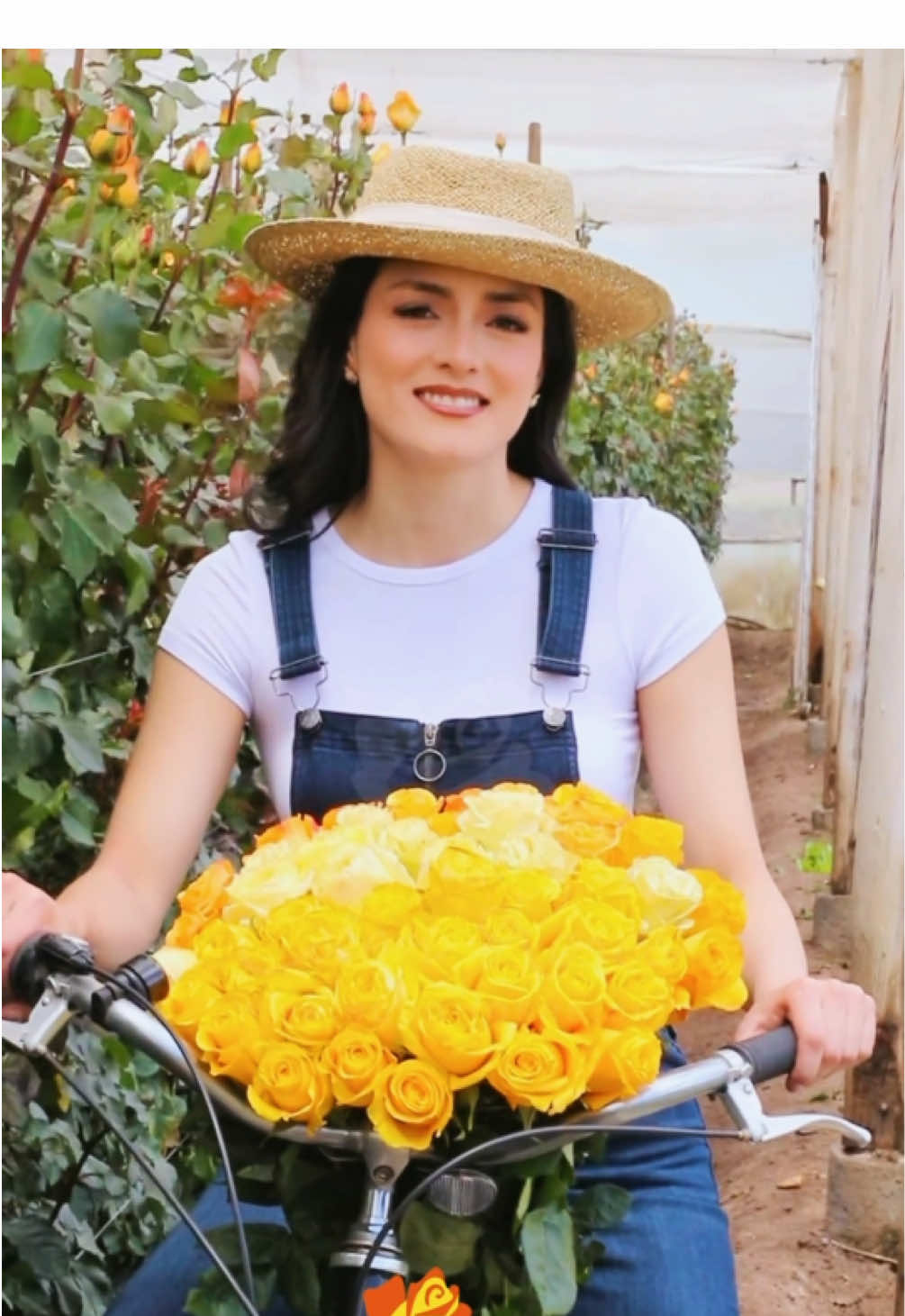 @Eden Roses