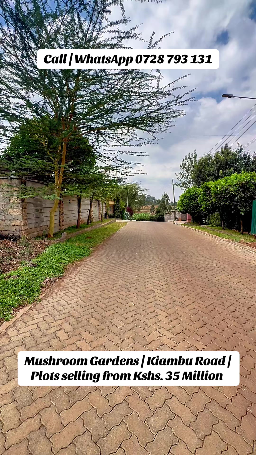 @Afrique Properties Limited