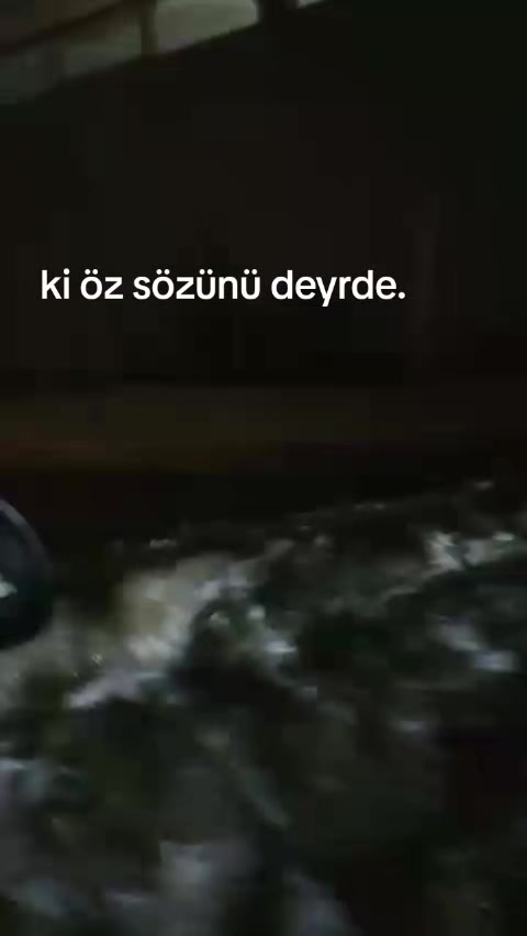 @Kenan019