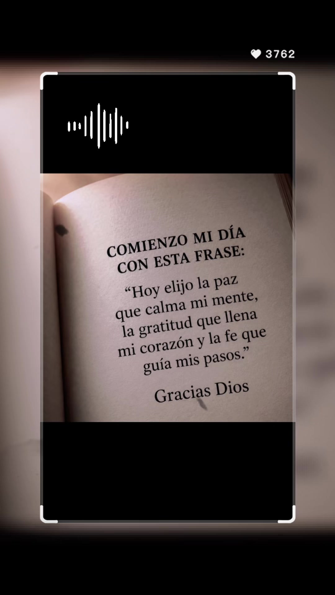 @☘️CRECIENDO @Lãjëfã☘️