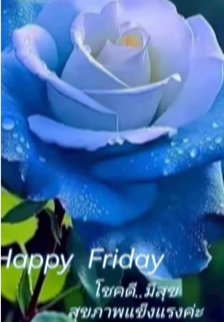@sonthaya6595
