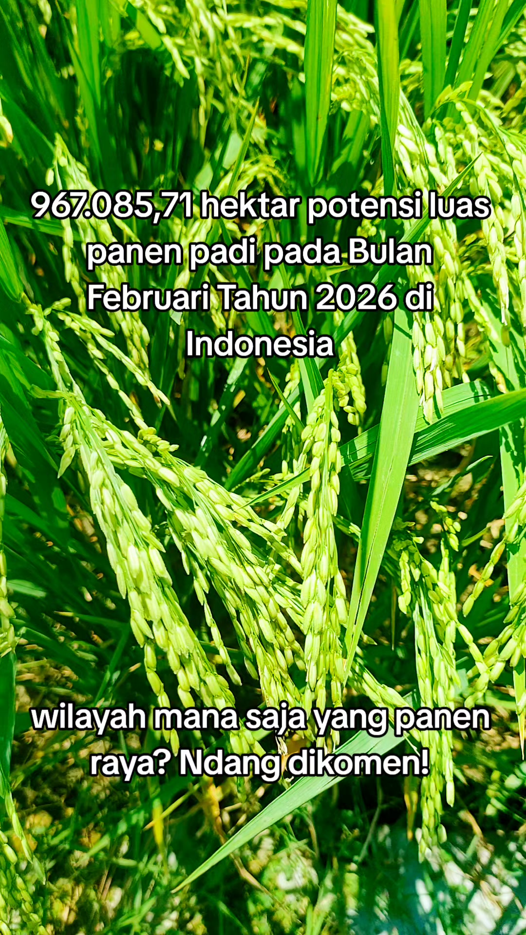 @ahmad mundir