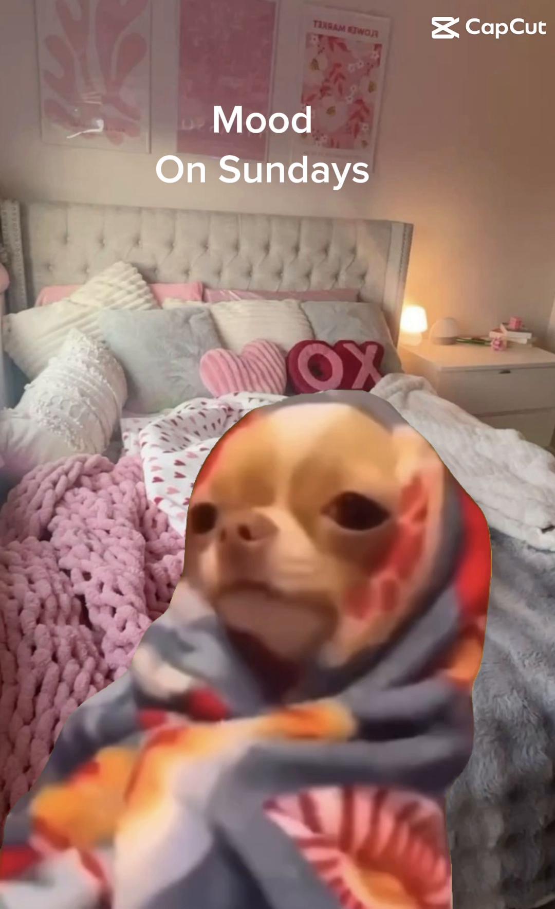 @Kennedy Danielle