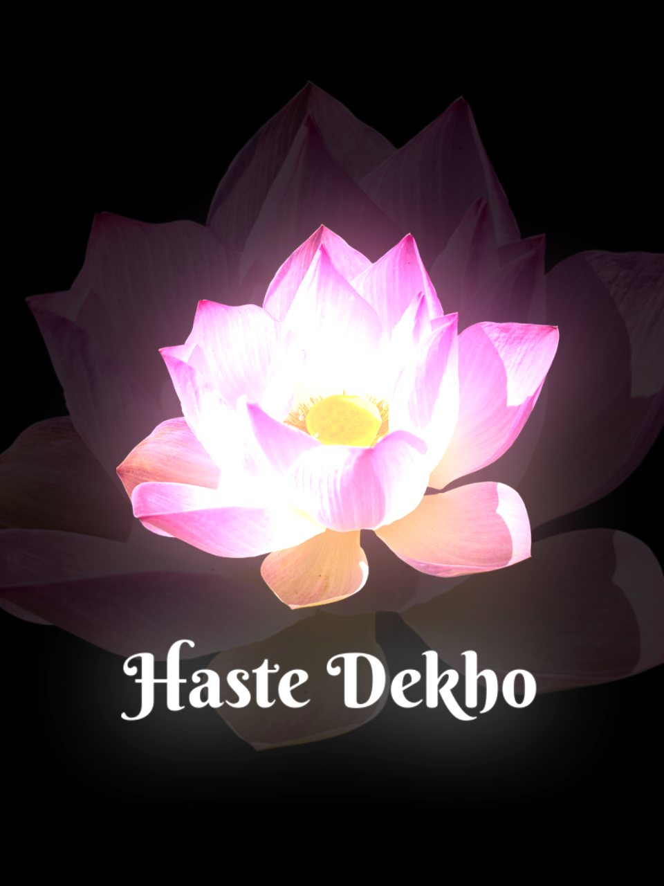 @𝐥𝐨𝐬𝐭𝐫𝐚𝐟𝐢𝐧 𝄞