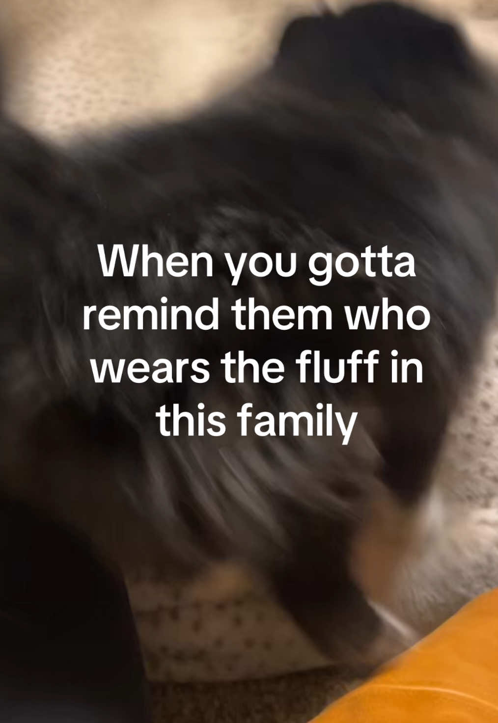@BiggiePomPom