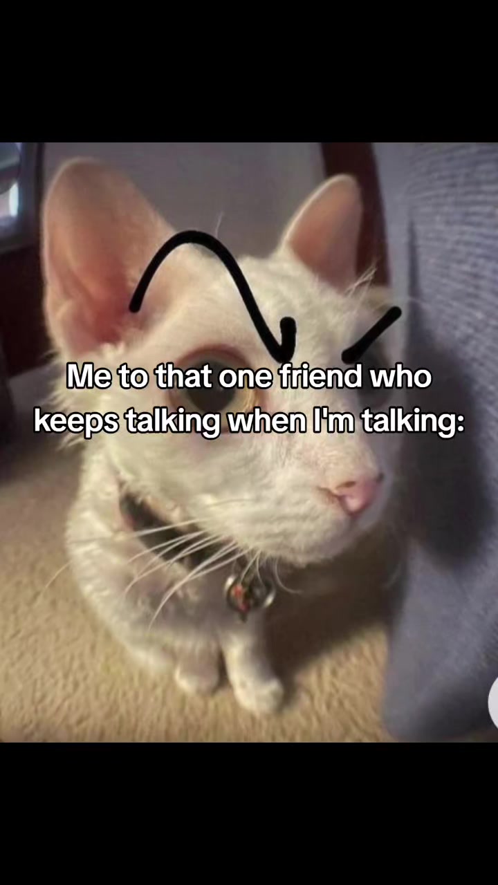 @🪼⋆.ೃ࿔*:･