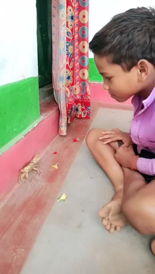 @जय मोर छत्तीसगढ़