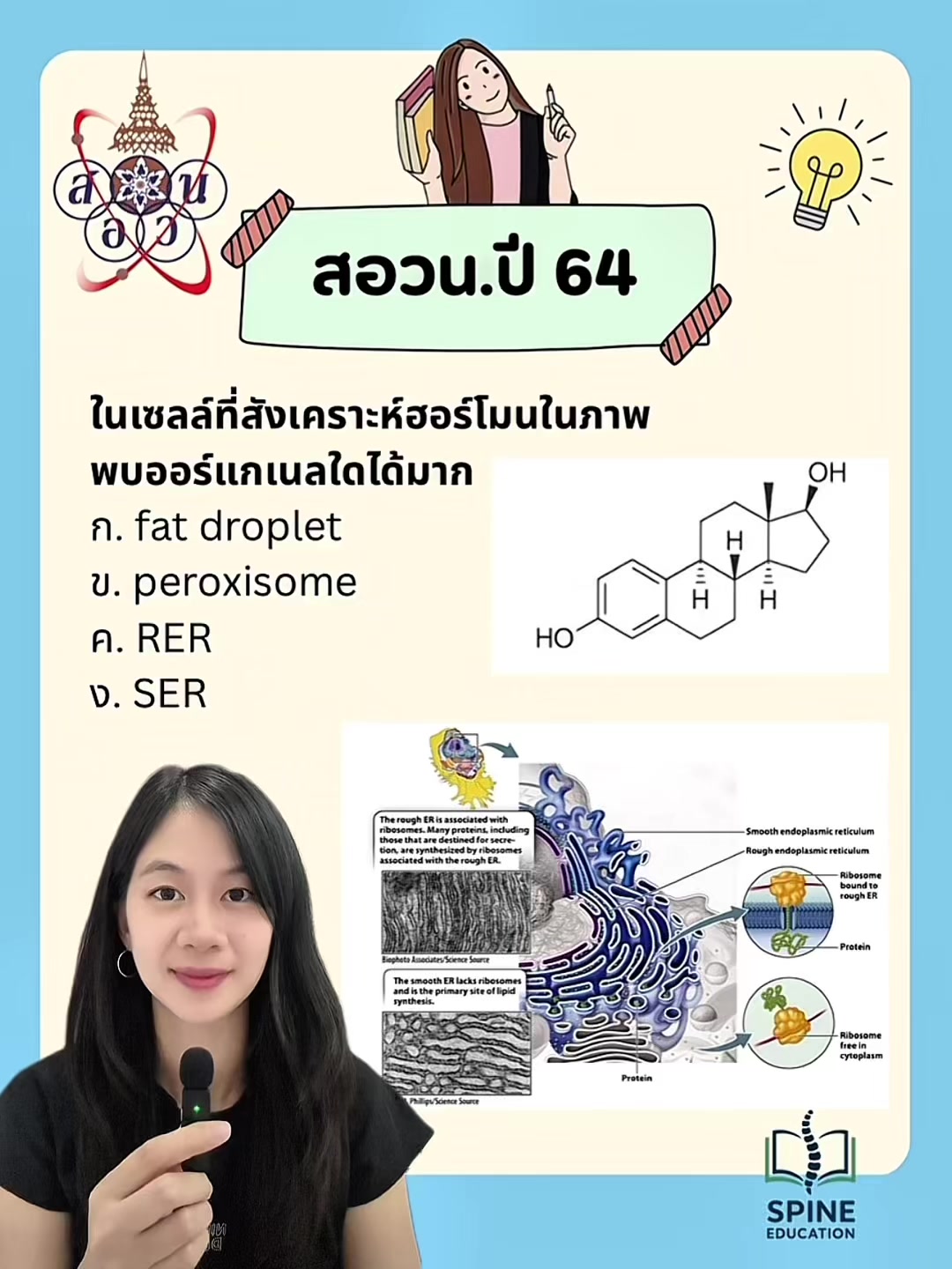 @Biospine by ครูหนาม