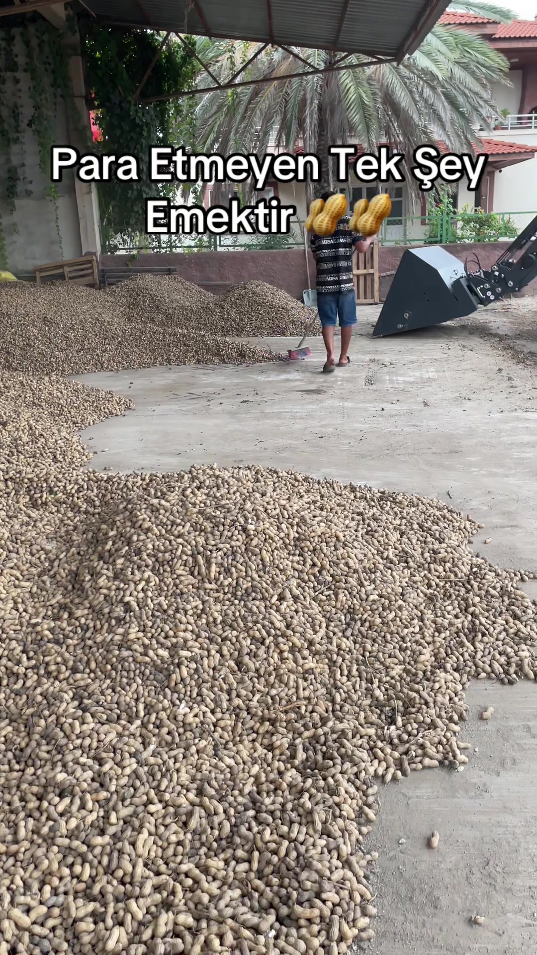 @seydobaskan01