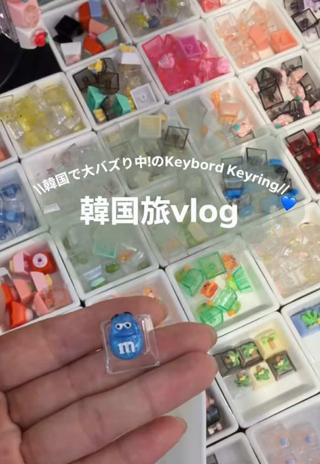 @shion | vlog🎀