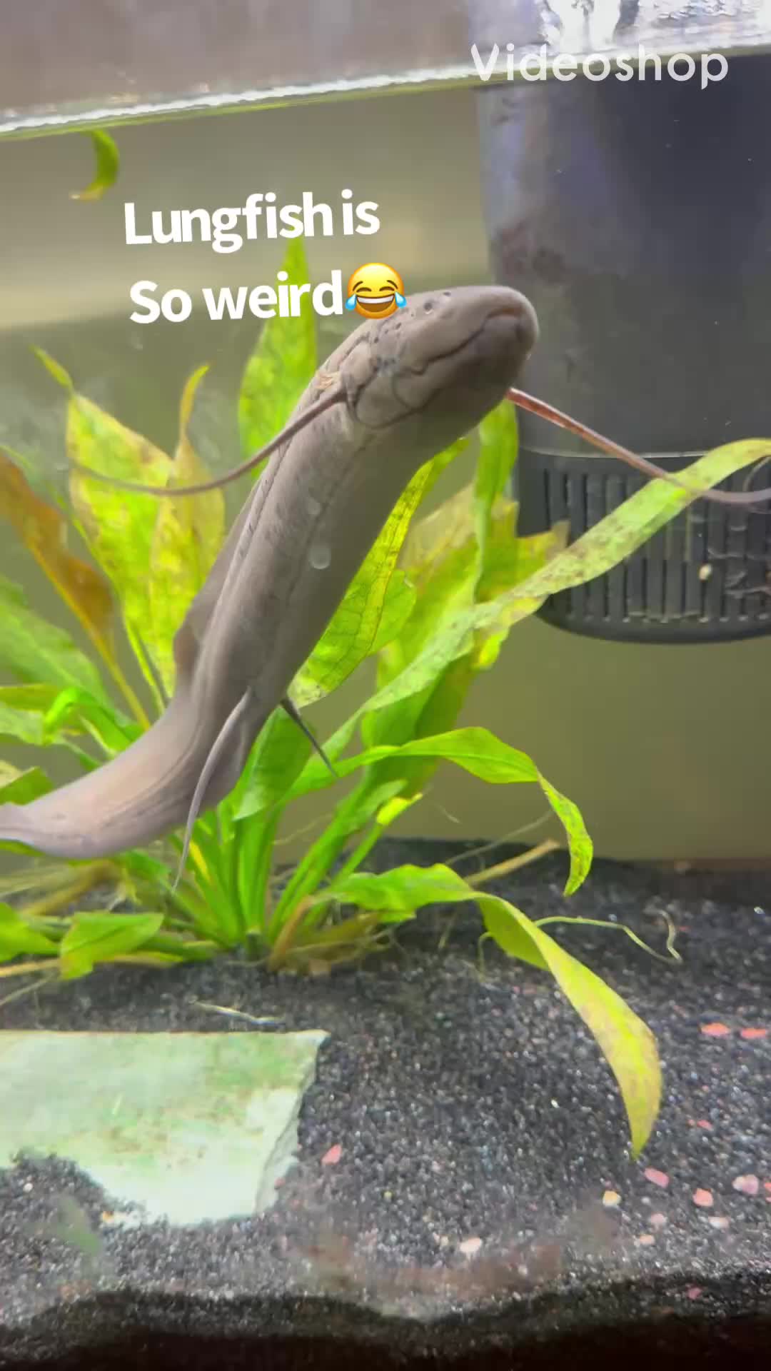 @fishdaddy2002