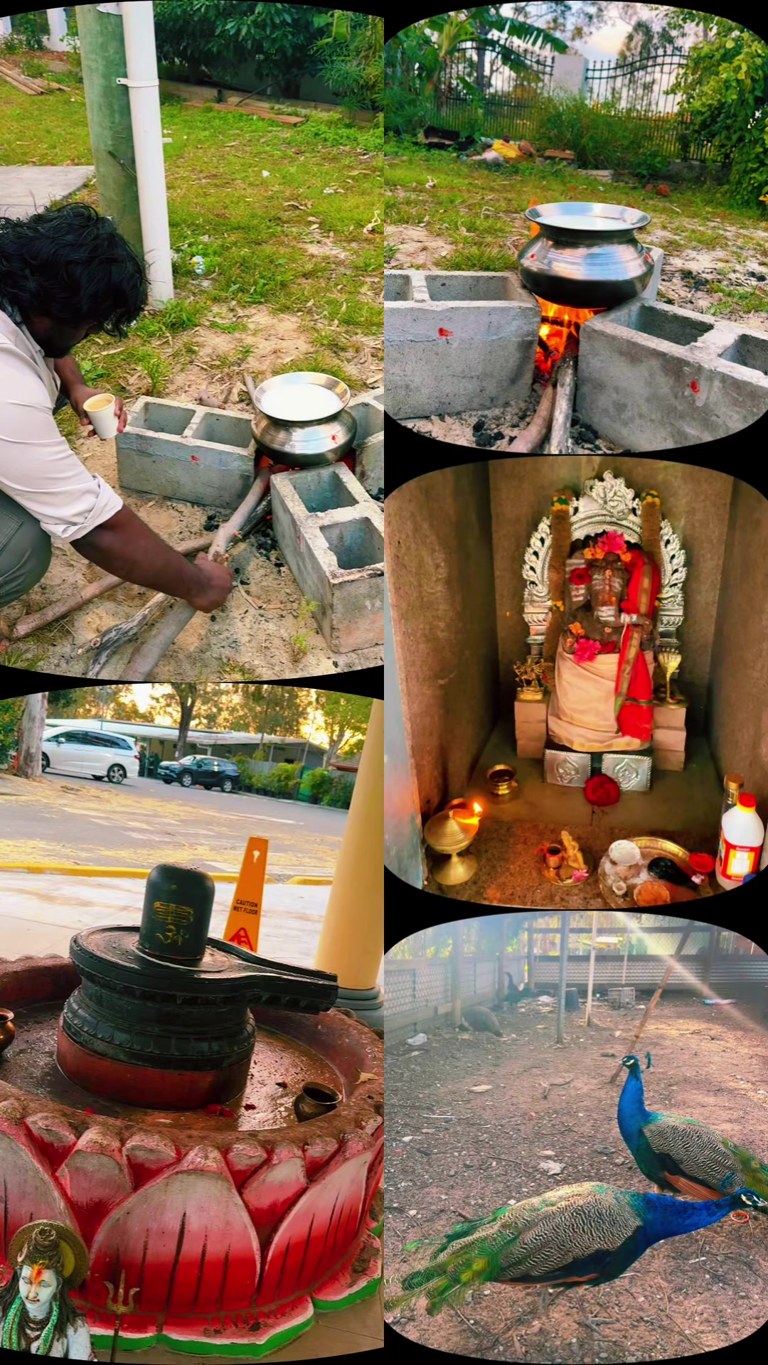 @Arasi Siva ✨