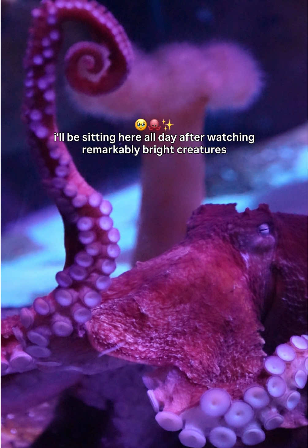 @The Florida Aquarium