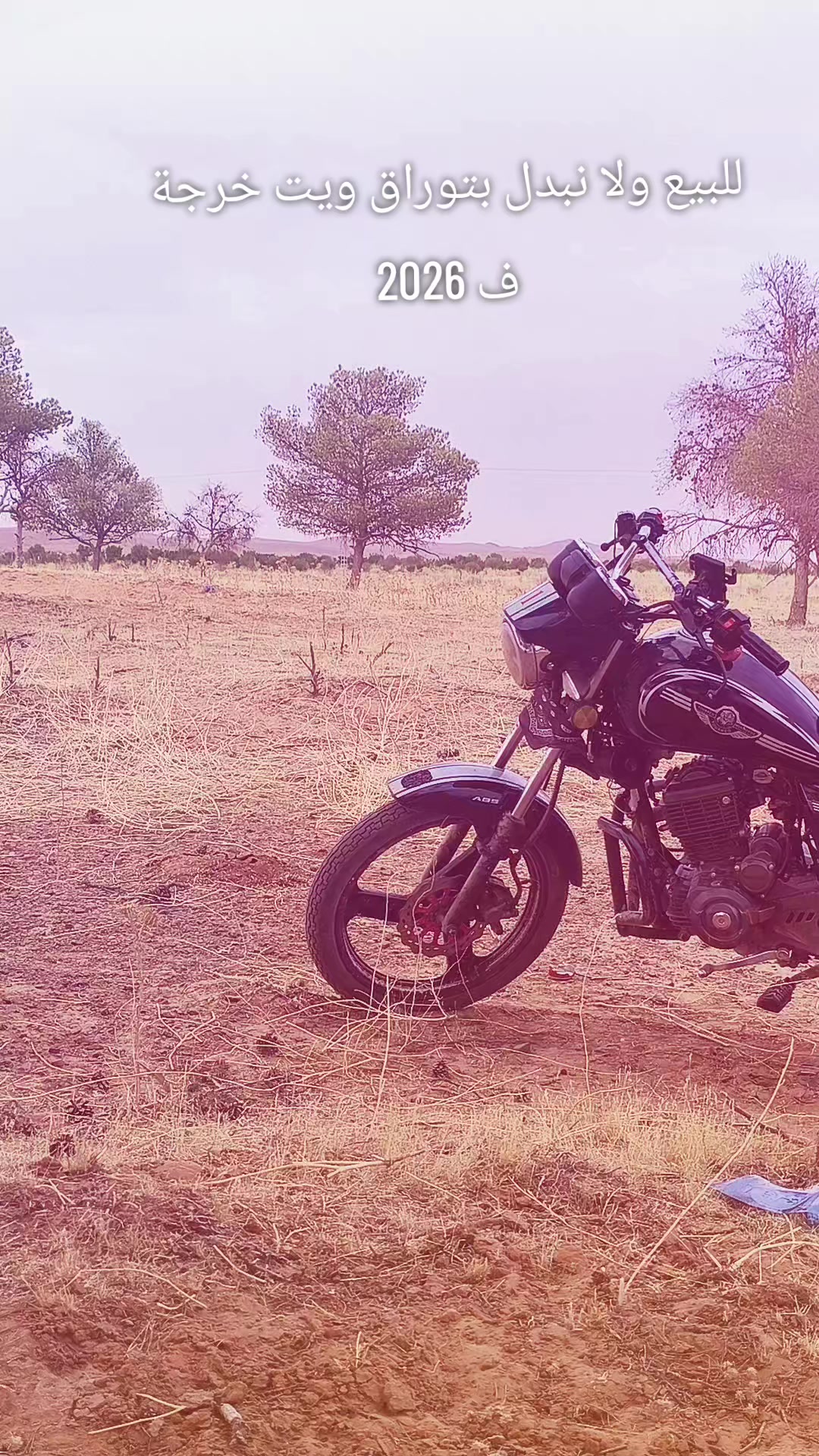 @جمي البيضي 🇩🇿☠️