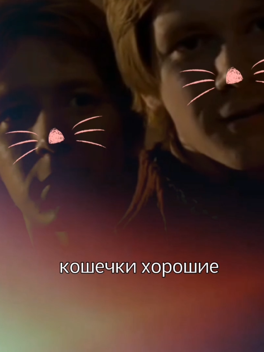 @κ᧘уδнᥙчнᥲя