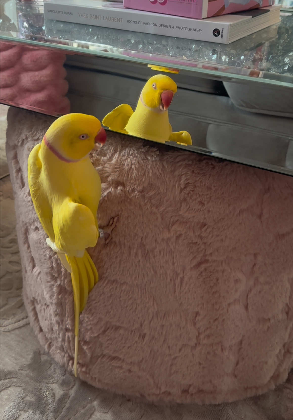 @TWINKIE 🐥