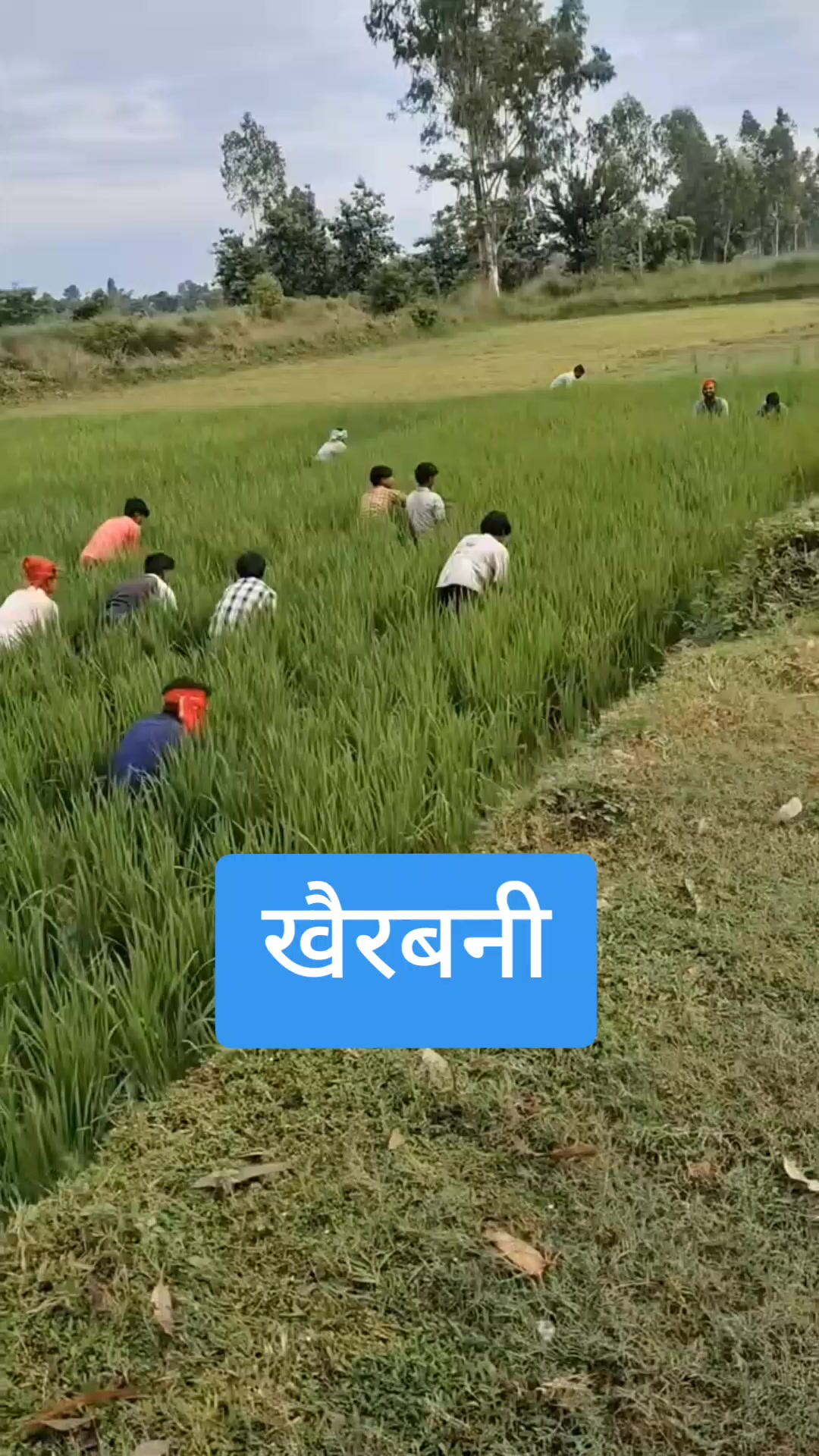 @🇳🇵❤️BAIDHNATH❤️🦋🦋