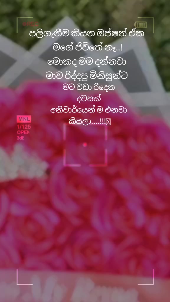 @සුදු නෝනා🩷🩷🩷