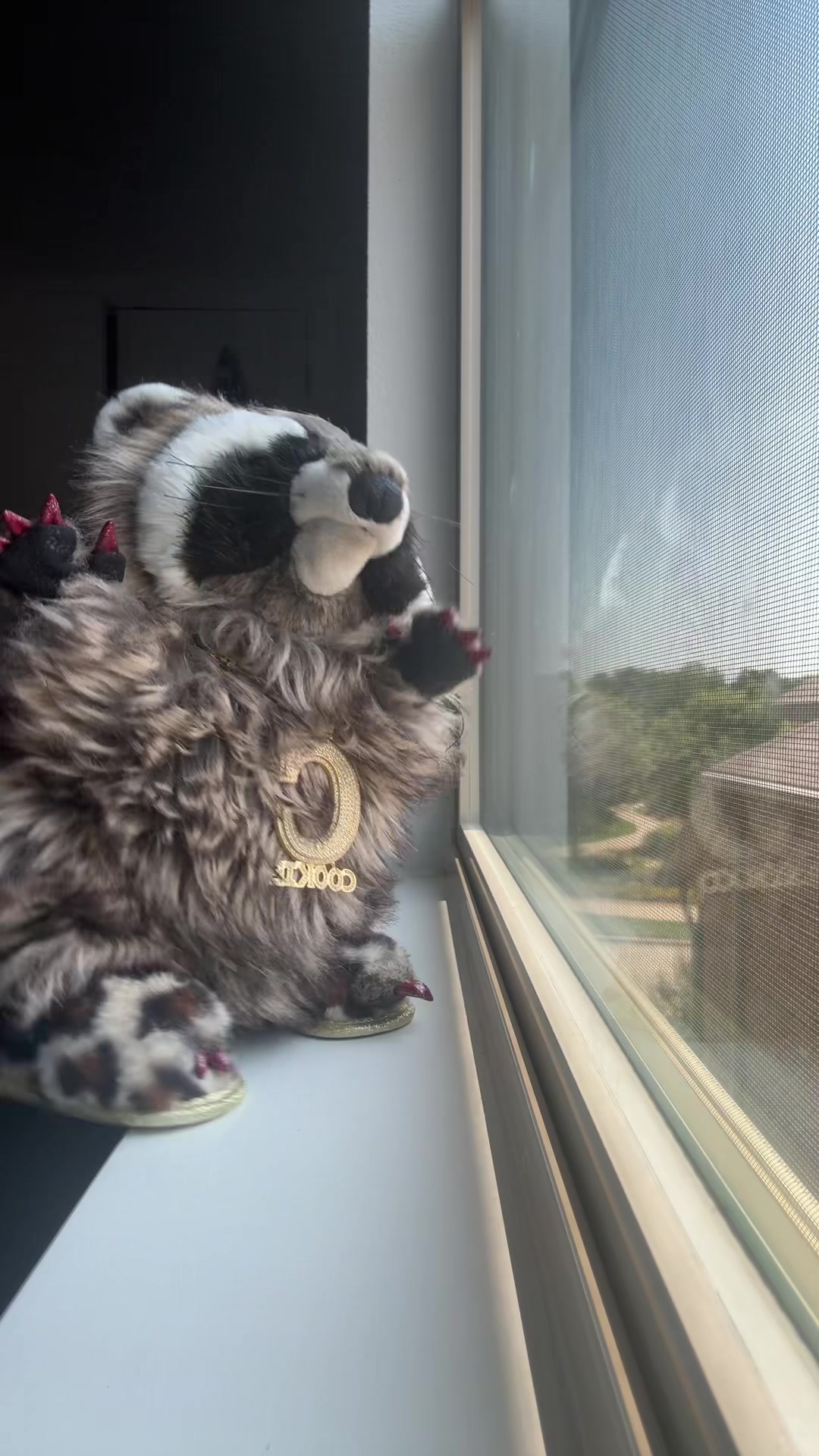@Cookie 🍪 🦝